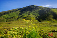 Sony A6000 | Sony 28-70mm | 1/320 | f8 | ISO 100 | Single Exposure